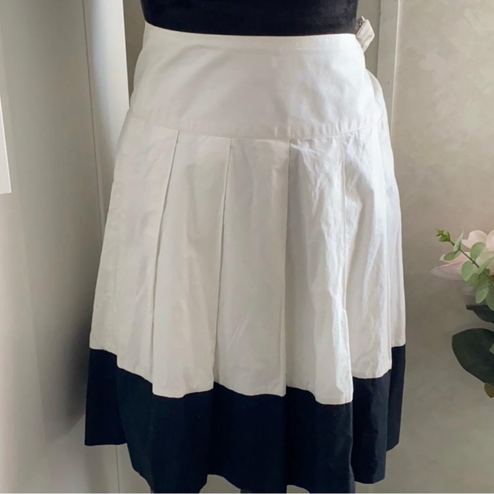 Banana Republic Skirt ✨